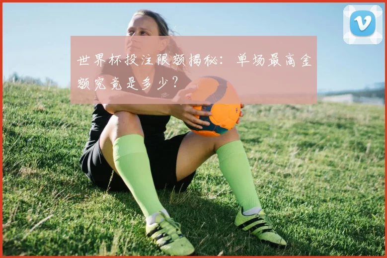 世界杯投注限额揭秘：单场最高金额究竟是多少？