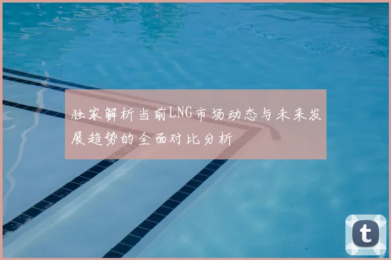 独家解析当前LNG市场动态与未来发展趋势的全面对比分析
