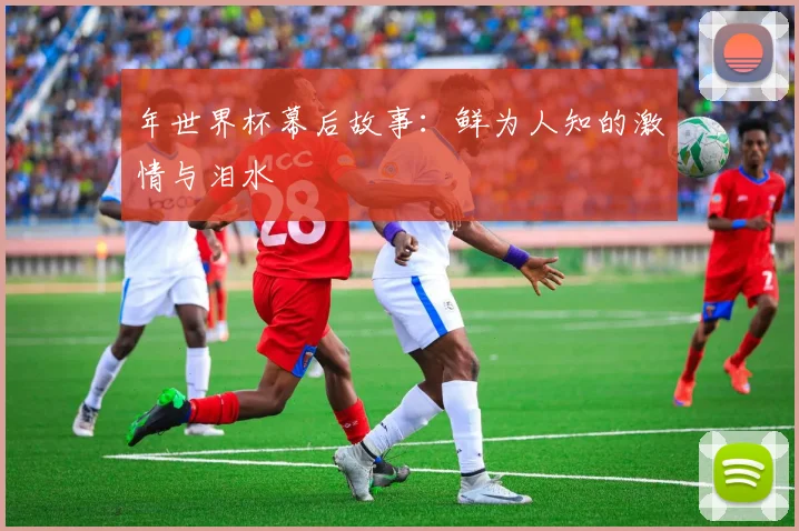 年世界杯幕后故事:鲜为人知的激情与泪水
