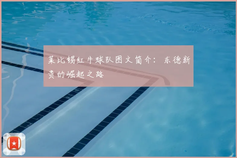 莱比锡红牛球队图文简介：东德新贵的崛起之路