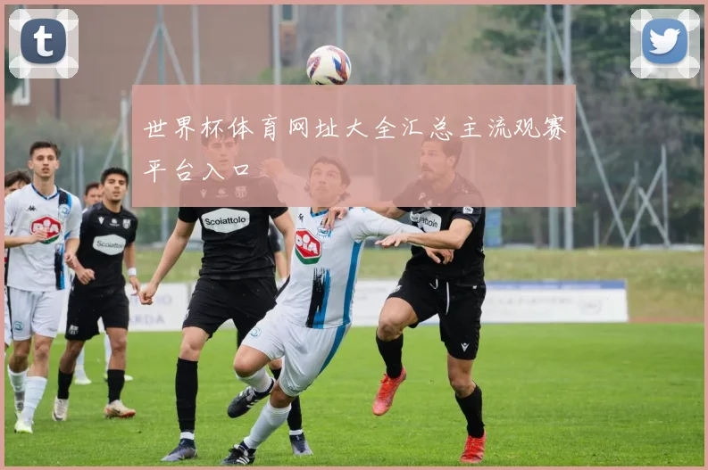 世界杯体育网址大全汇总主流观赛平台入口
