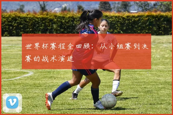 世界杯赛程全回顾:从小组赛到决赛的战术演进