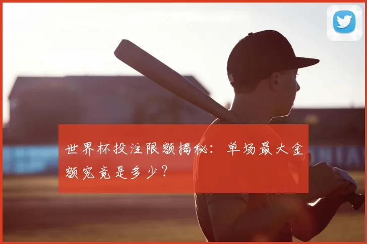 世界杯投注限额揭秘:单场最大金额究竟是多少?