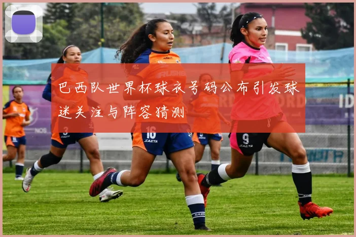 巴西队世界杯球衣号码公布引发球迷关注与阵容猜测