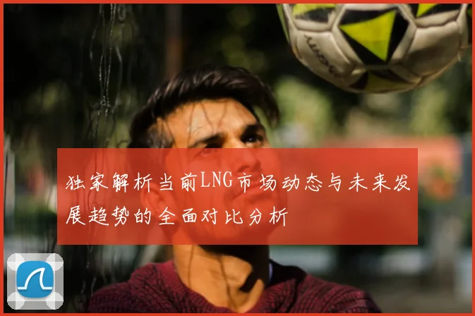独家解析当前LNG市场动态与未来发展趋势的全面对比分析