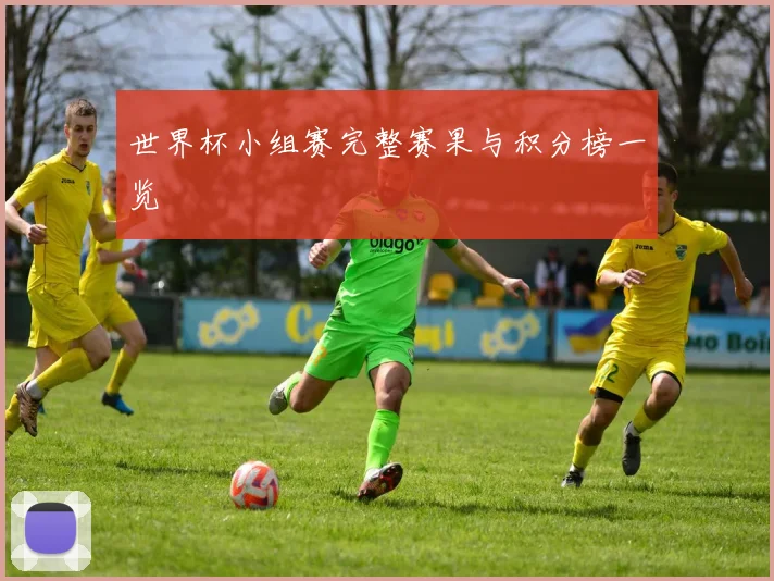 世界杯小组赛完整赛果与积分榜一览