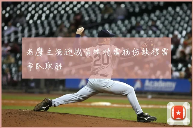 老鹰主场迎战黄蜂特雷杨伤缺穆雷率队取胜