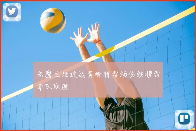 老鹰主场迎战黄蜂特雷杨伤缺穆雷率队取胜