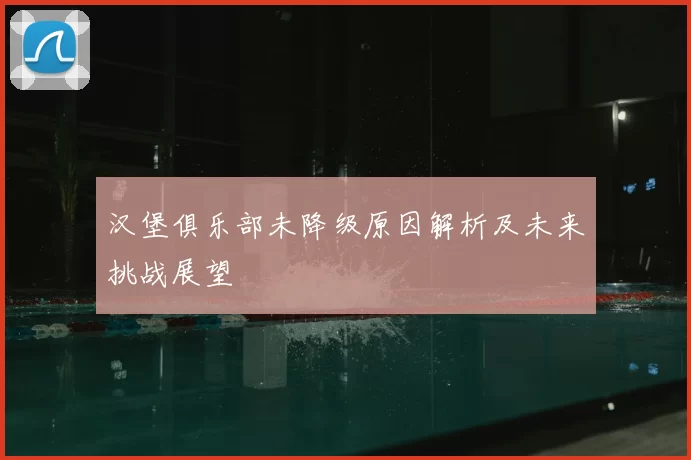 汉堡俱乐部未降级原因解析及未来挑战展望