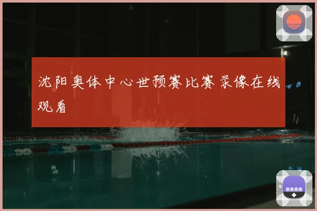 沈阳奥体中心世预赛比赛录像在线观看