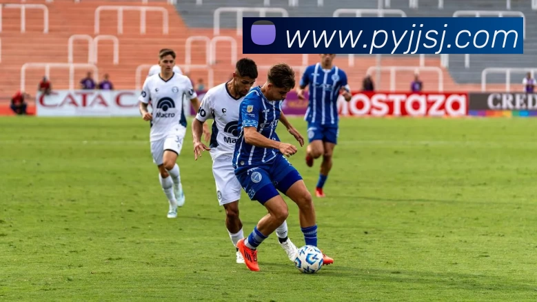 奖项证书